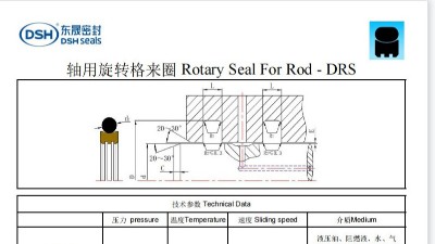 轴用旋转密封-旋转格莱圈DRS解决方案