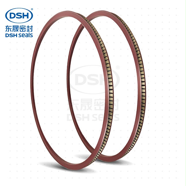 耐低温弹簧蓄能密封圈泛塞封