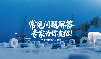 Y型密封圈常见问题解答：专家为你支招！