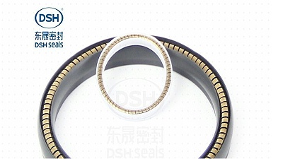 液压气动密封解决方案—东晟密封泛塞封密封圈