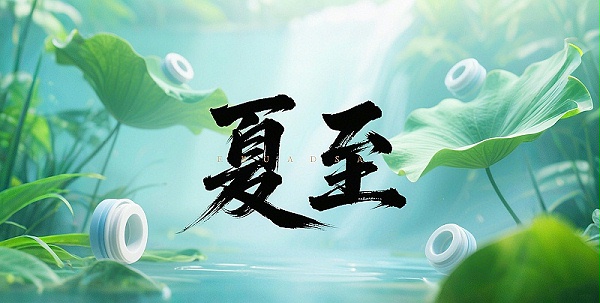 夏至节气2025年6月21日二十四节气-东晟密封件-(2)-副本