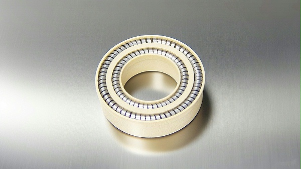 ‌双弹簧泛塞封1