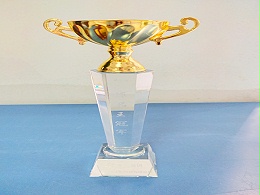 2022牛商争霸作品王奖-东晟唇形密封圈