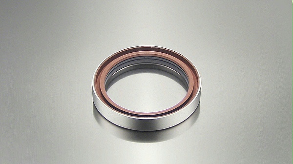 氟橡胶骨架油封---一种由氟橡胶密封材质制成的骨架型油封密封件，广泛应用于各大行业中，如化工行业等