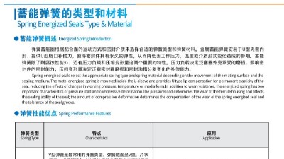 弹簧蓄能型密封圈特点