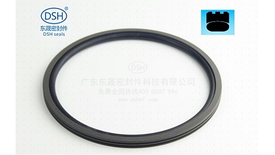 机电设备旋转密封解决方案-孔用旋转格莱圈DNS