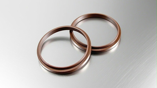 氟橡胶防尘圈dsh---是由氟橡胶密封件材料制成的防尘圈（-防尘密封圈）的一类密封件哦！-(1)2