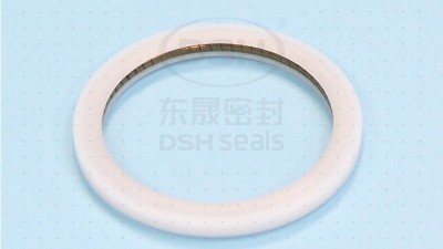 电机转轴密封可以采用PTB泛塞封密封圈