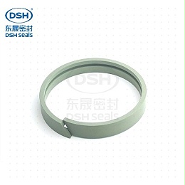 孔用导向环（导向带）DFA