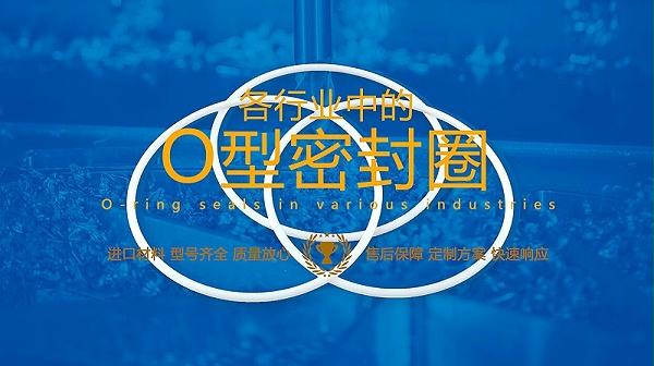 O型密封圈、O型密封件、O形圈、O圈、O形圈密封件油封产品图