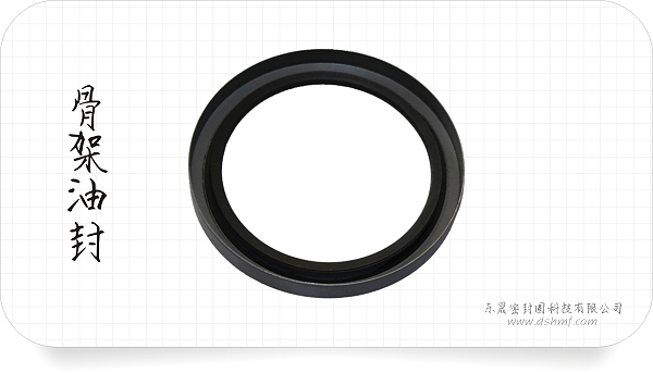 骨架油封3