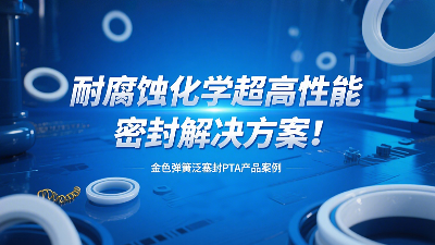 金色弹簧泛塞封PTA产品案例 ® 耐腐蚀化学超高性能密封解决方案！‌