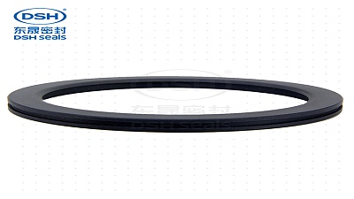 海洋环境四氟A型油封密封圈解决方案