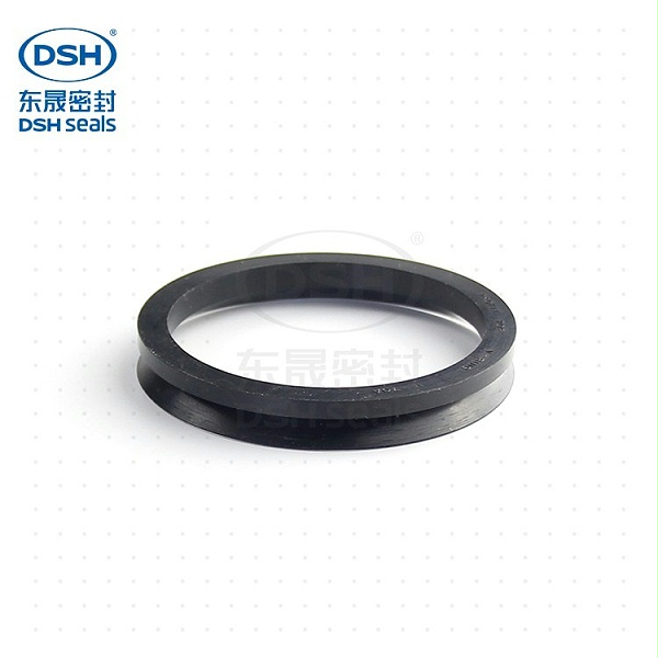 端面水封DVA