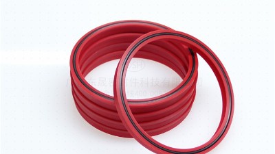 四氟密封圈在食品加工与医疗器械中的综合卫生安全保障？？