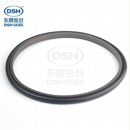 轴用组合密封圈SPNO