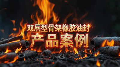 双唇型骨架橡胶油封产品案例丨轴用密封大揭秘！高温200℃下，凭啥成“防漏王者”？‌