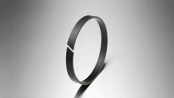 导向环（背托环）DST0801 (2)