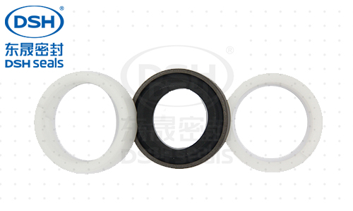 DKDF组合密封圈