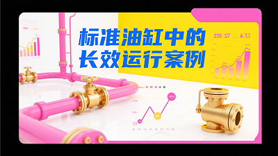 哑铃型橡胶密封圈在标准油缸中的长效运行案例？