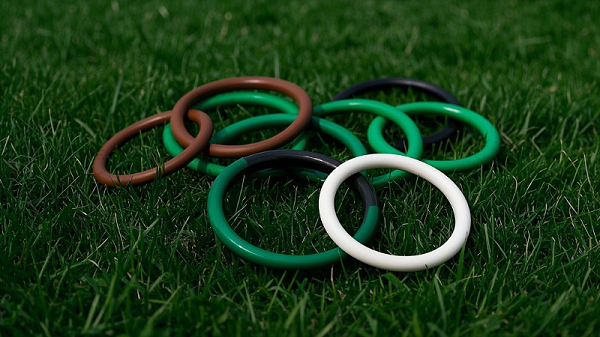 1绿色的棕色的白色的黑色的O型密封圈，比例 16_9__，背景为草地