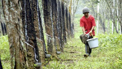 天然合成橡胶密封件是真有毒的吗！？
