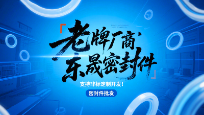 密封圈批发老牌厂商东晟密封圈，支持非标定制开发！