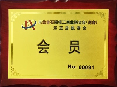 东晟密封-东莞市石碣镇工商业联合会第五届执委会（会员）