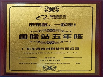 阿里巴巴国际站五年陈 - 东晟泛塞封密封圈