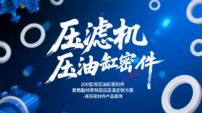 压滤机200型液压油缸密封圈！聚氨酯材质耐高压高温定制方案