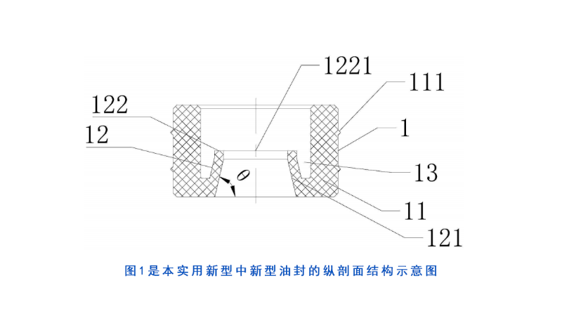 图1是本实用新型中新型油封的纵剖面结构示意图。