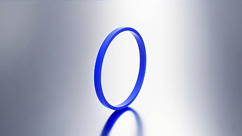 聚四氟乙烯油缸密封件 (2)