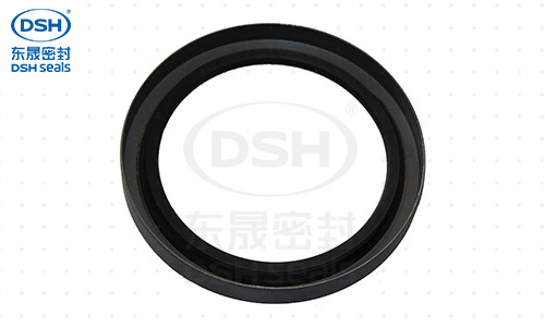 氟像胶骨架油封密封圈