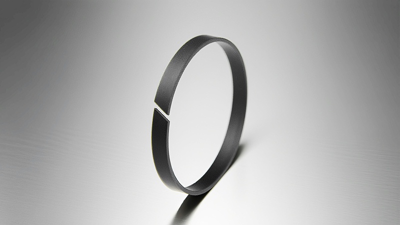 导向环（背托环）DST0801 (2)