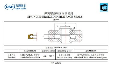 新版弹簧增强端面内侧密封