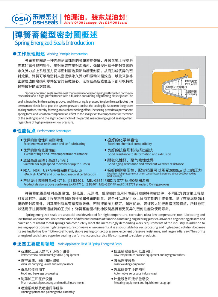 泛塞封唇型密封圈弹簧蓄能型密封圈概述