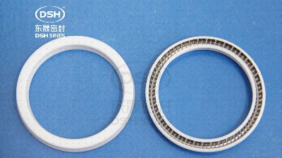 液压缸套密封解决方案—PTB泛塞密封圈